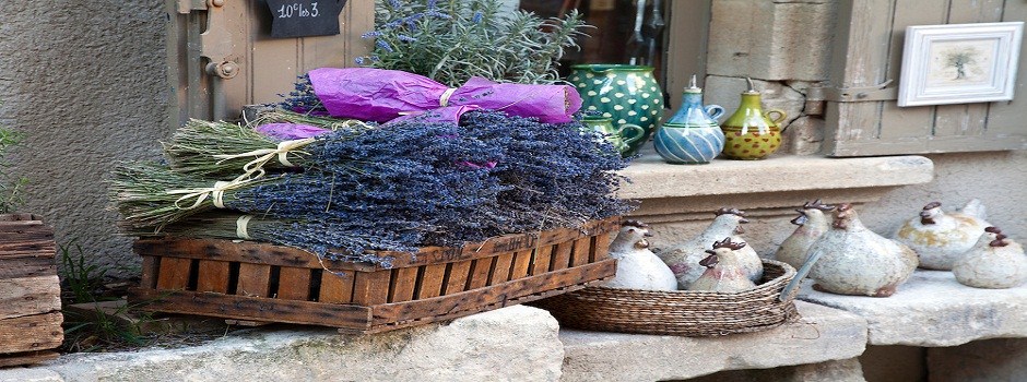 lavender-village resized.jpg