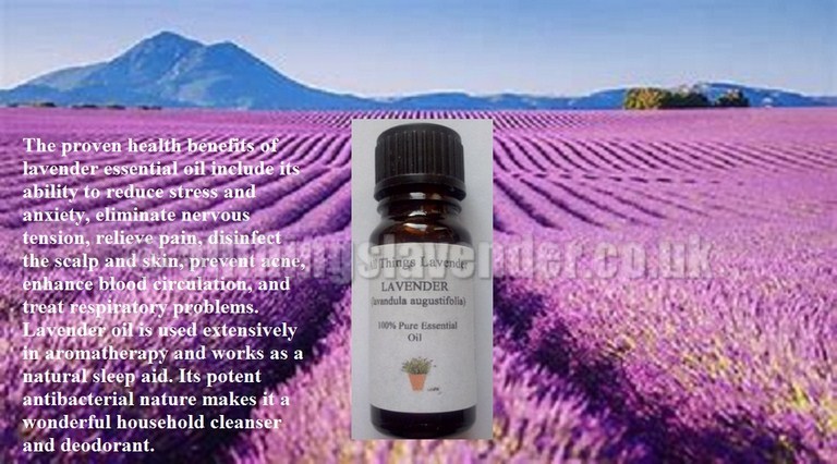 Essential Lavender Oil