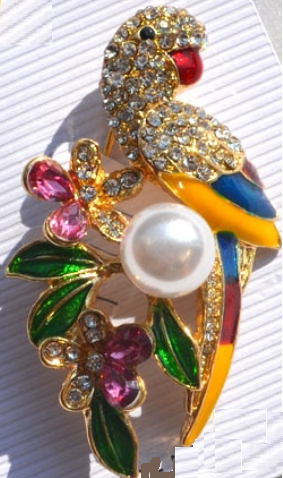 Colourful Parrot Brooch