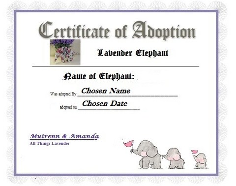 Adopt a Lavender Elephant Great Gift