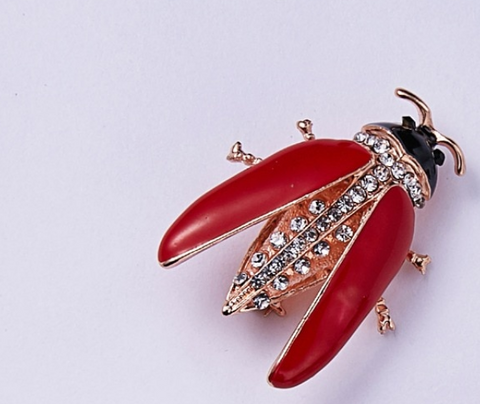  An Attractive Ladybird Brooch