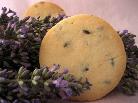Food grade extra fine  lavender suitable for  a variety of cooking ideal for lavender scones, lavender cakes & biscuits