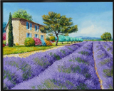 Lavender Art Lavender Fields of Provence