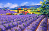 Lavender Art Lavender  Fields of Provence